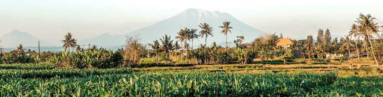 From A City Boy to Real Human in Bali